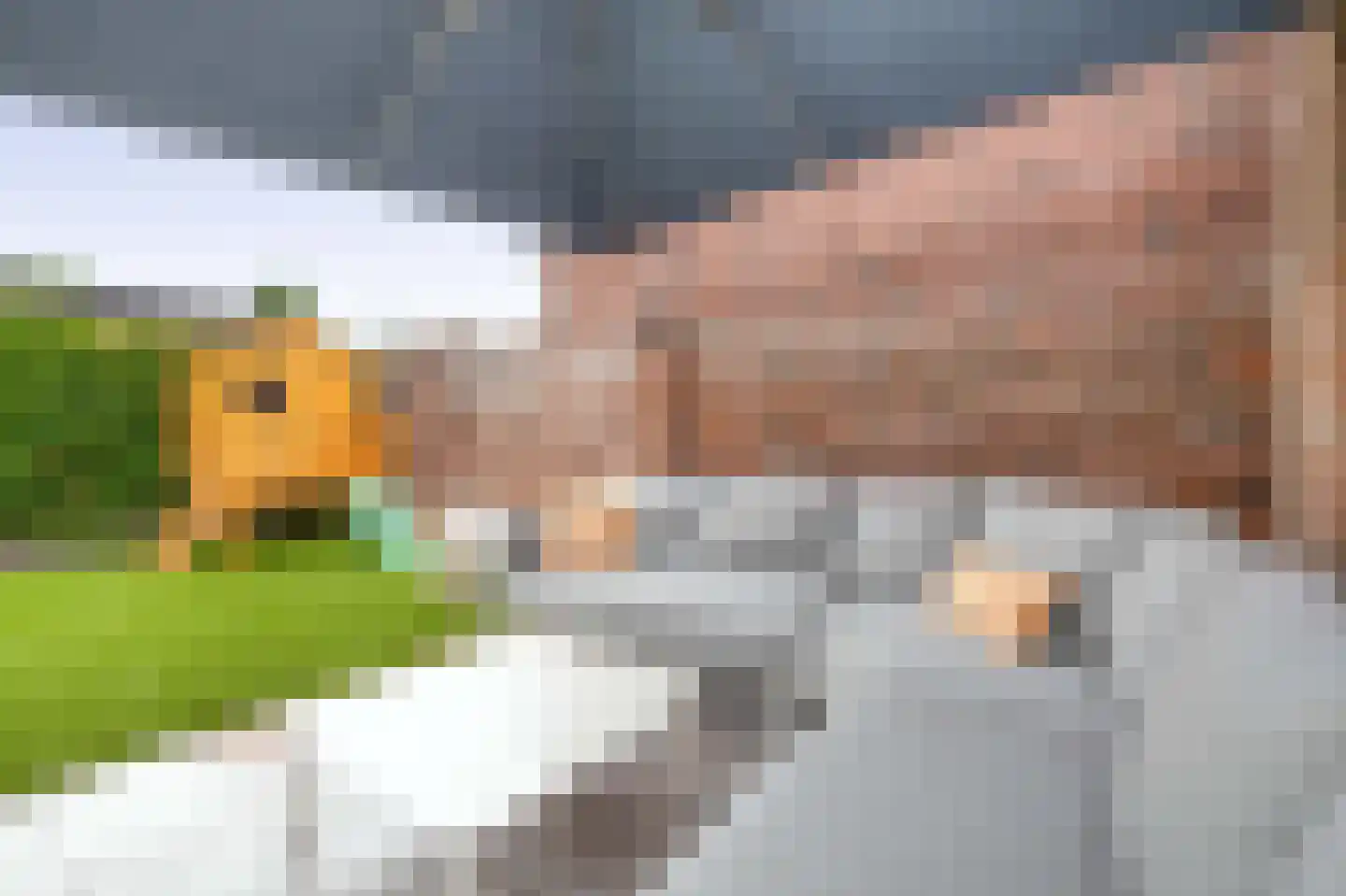Reuveltweg 64 Grubbenvorst thumbnail 23