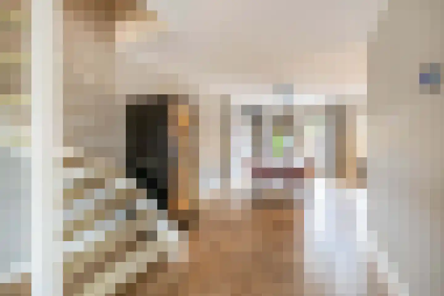 Reuveltweg 64 Grubbenvorst thumbnail 8