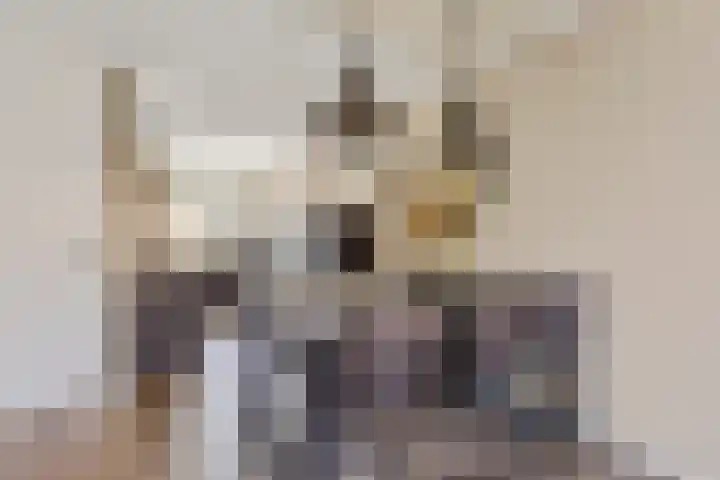 Reuvenkamp 4 Rossum thumbnail 10