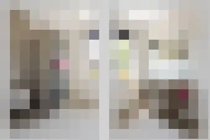 Reuvenkamp 4 Rossum thumbnail 12