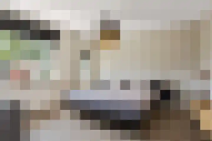 Reuvenkamp 4 Rossum thumbnail 13