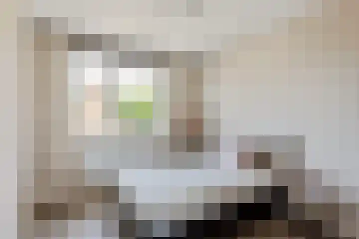 Reuvenkamp 4 Rossum thumbnail 14