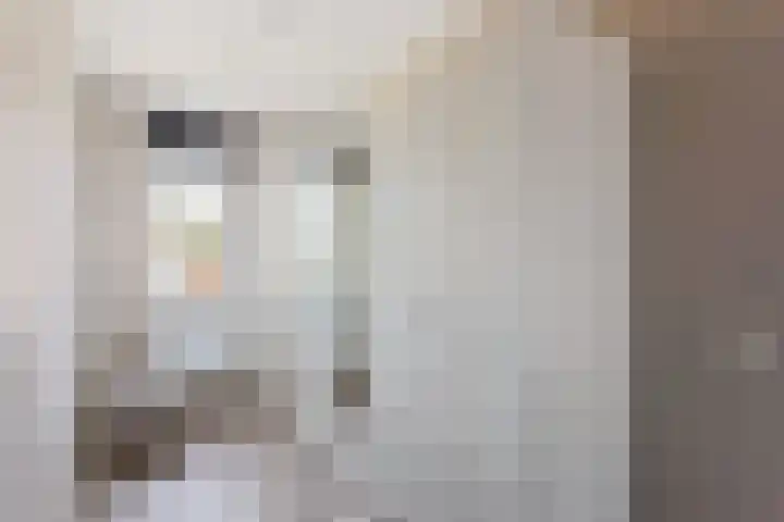 Reuvenkamp 4 Rossum thumbnail 15