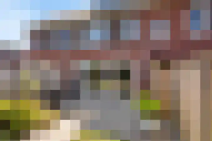 Reuvenkamp 4 Rossum thumbnail 17