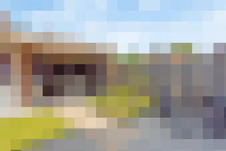Reuvenkamp 4 Rossum thumbnail 18