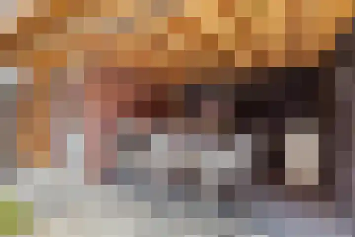 Reuvenkamp 4 Rossum thumbnail 19