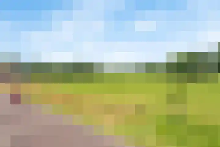 Reuvenkamp 4 Rossum thumbnail 21