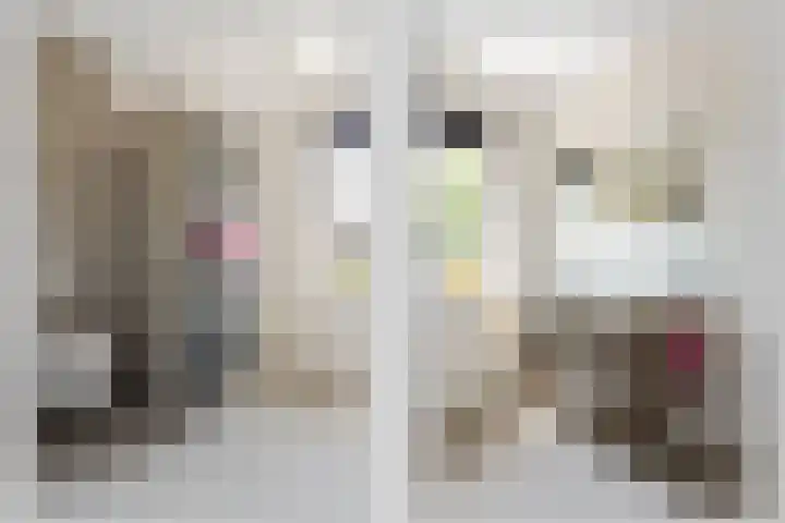 Reuvenkamp 4 Rossum thumbnail 4