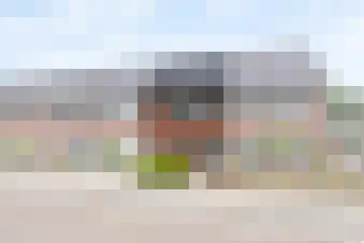 Reuvenkamp 4 Rossum thumbnail 6