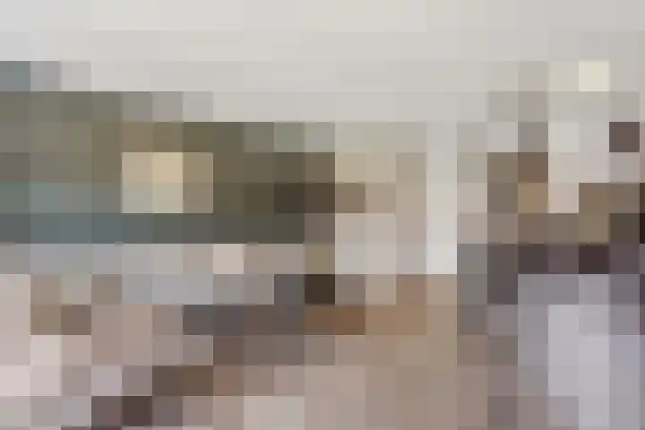 Reuvenkamp 4 Rossum thumbnail 9
