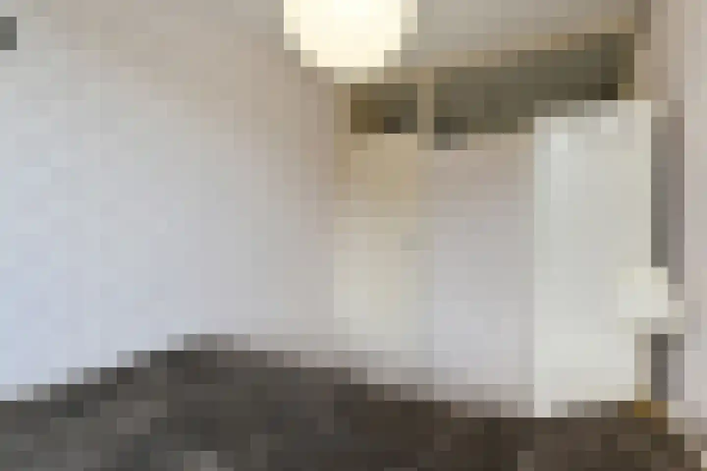 Reuvenslaan 157 Voorburg thumbnail 32