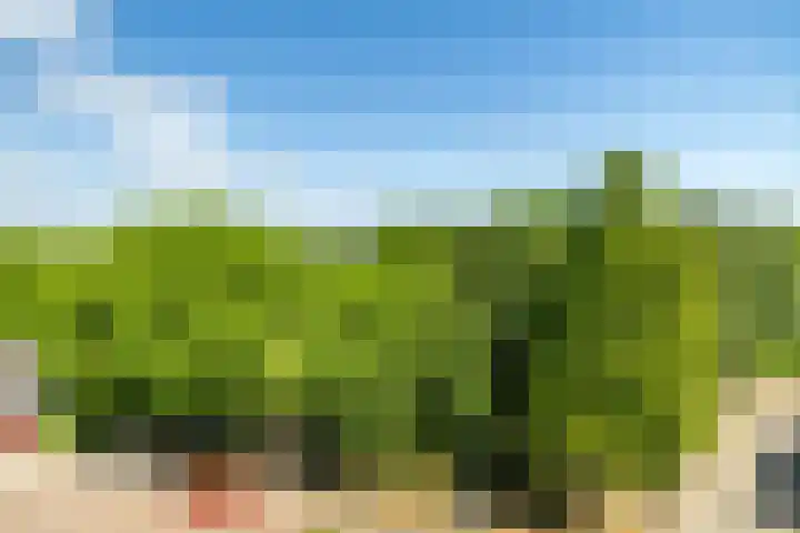 Reuvenslaan 95 J Voorburg thumbnail 32