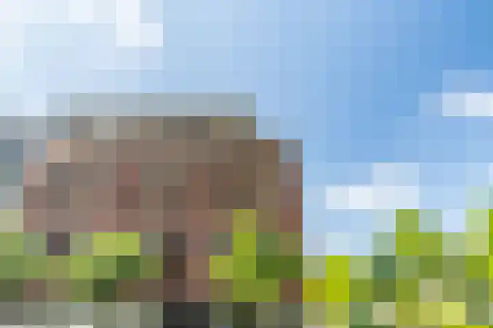 Reuvenslaan 95 J Voorburg thumbnail 33