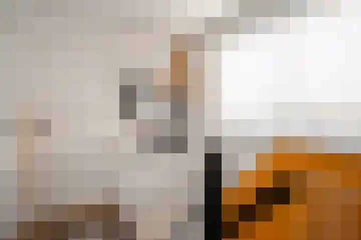Reuvensweg 18 Oosterbeek thumbnail 20
