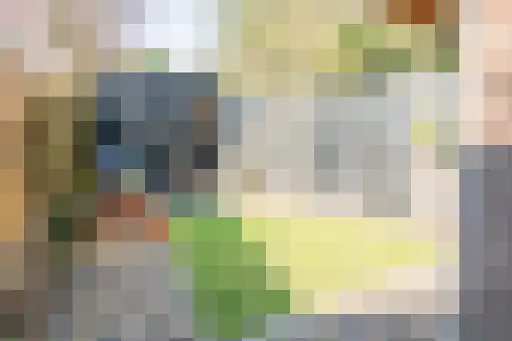 Reuvensweg 18 Oosterbeek thumbnail 36