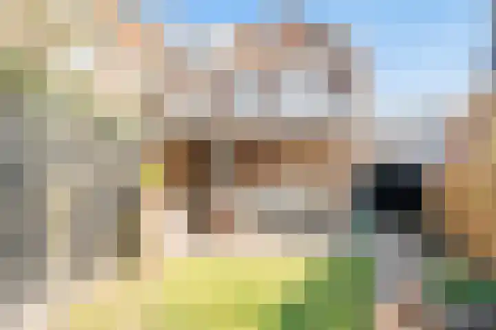 Reuvensweg 18 Oosterbeek thumbnail 4