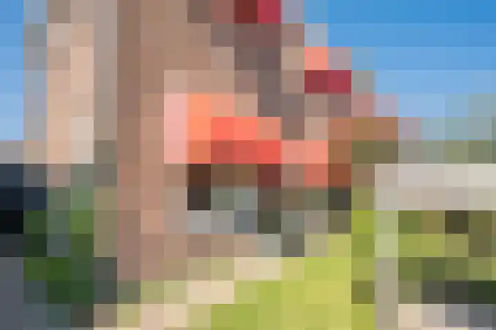 Reuvensweg 18 Oosterbeek thumbnail 5
