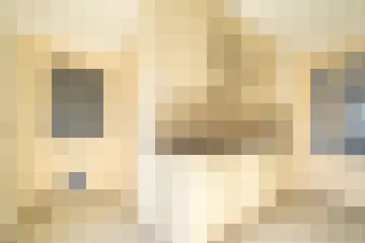 Reuvensweg 3 Oosterbeek thumbnail 14