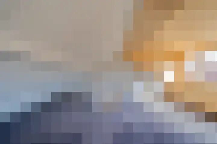 Reuvensweg 3 Oosterbeek thumbnail 33