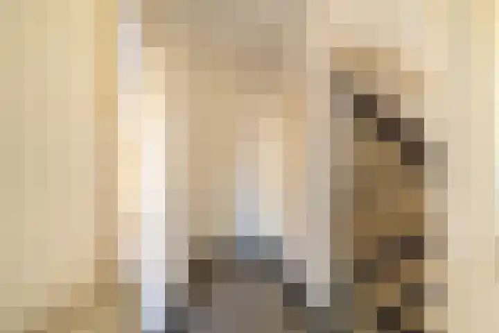 Reuvensweg 3 Oosterbeek thumbnail 7