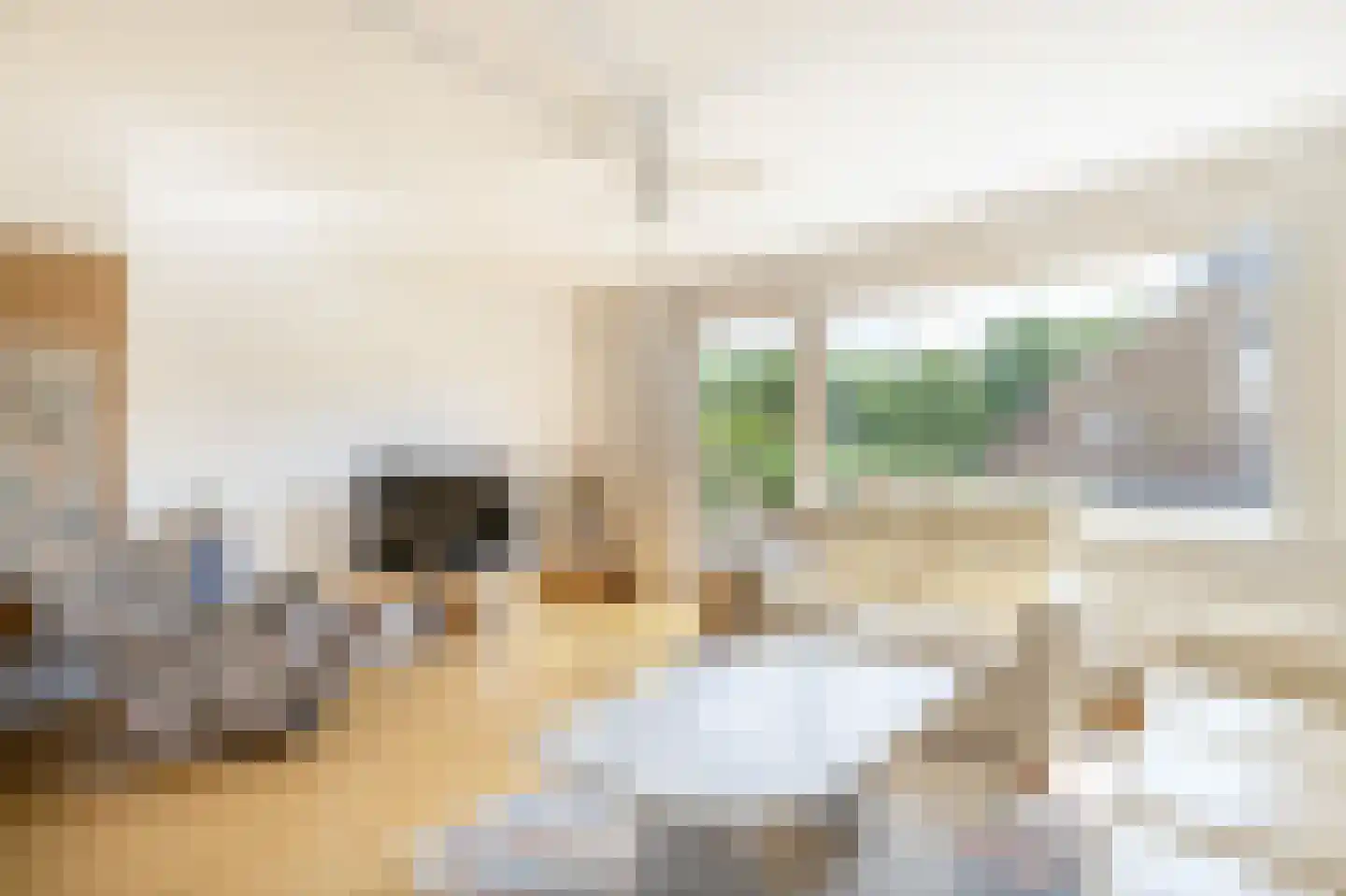 Reuverbeek 10 Geleen thumbnail 10