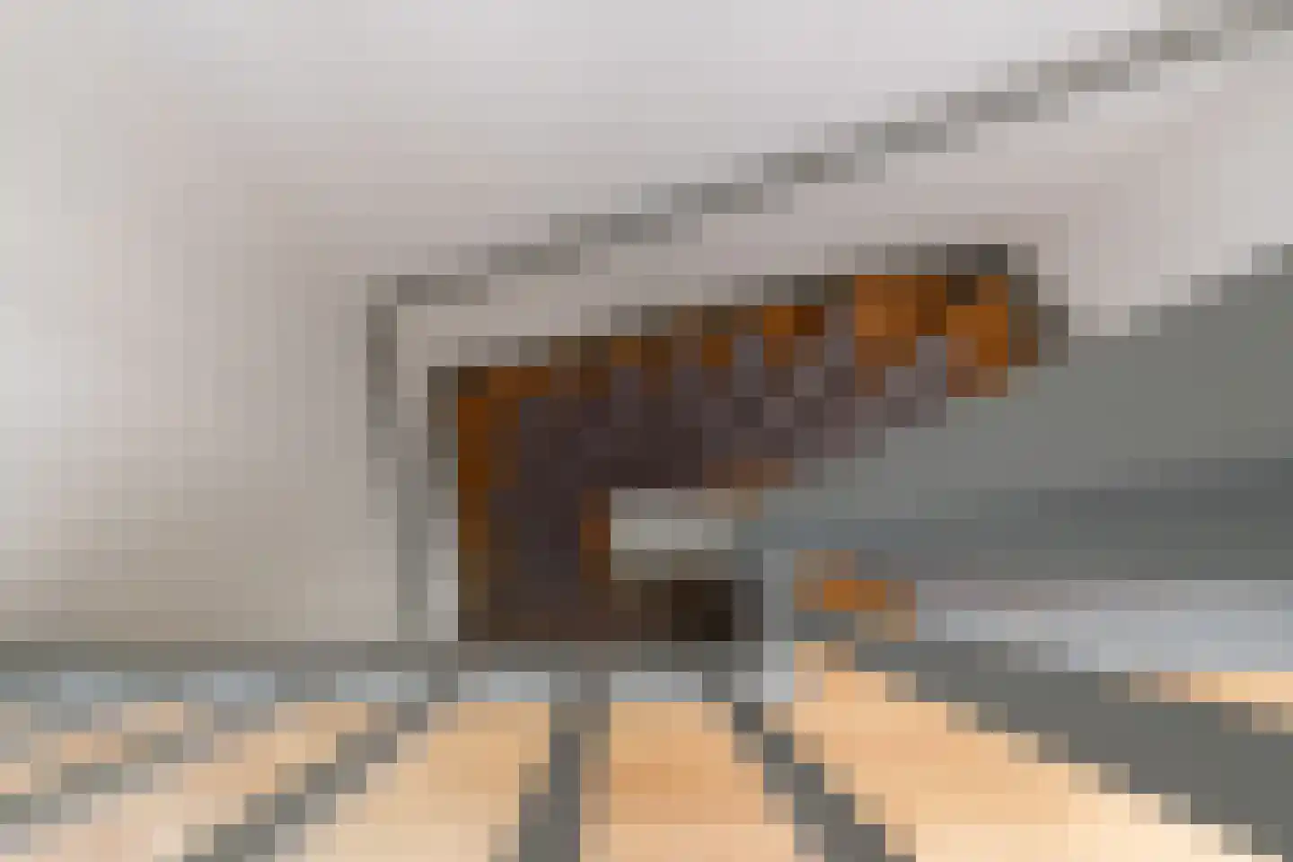 Reuverbeek 10 Geleen thumbnail 19