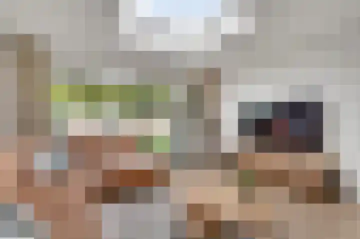 Reuverbeek 11 Geleen thumbnail 10