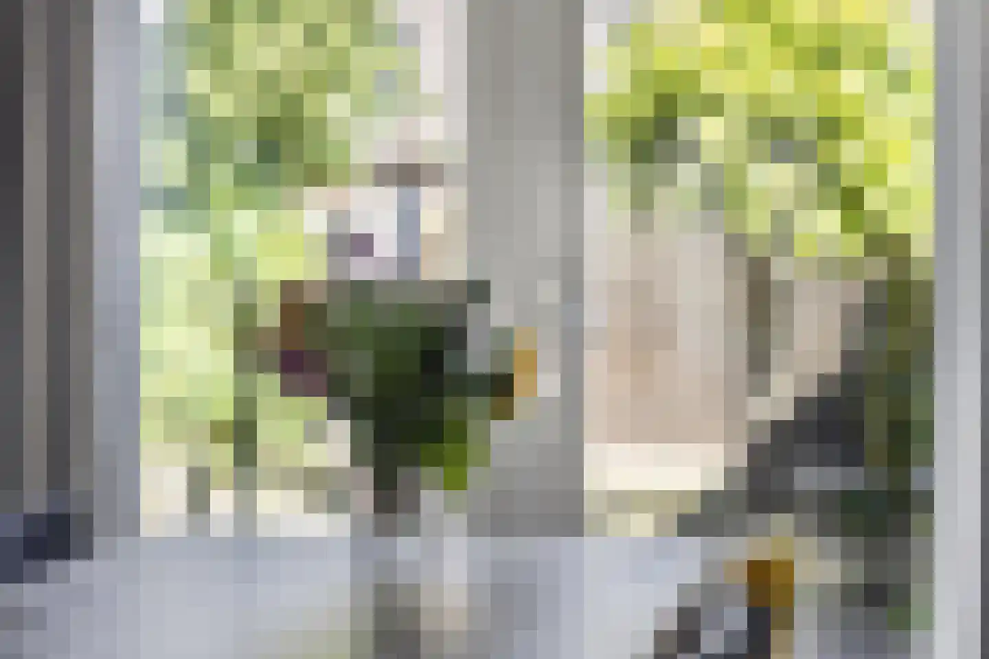 Reuverlaan 119 Tilburg thumbnail 14
