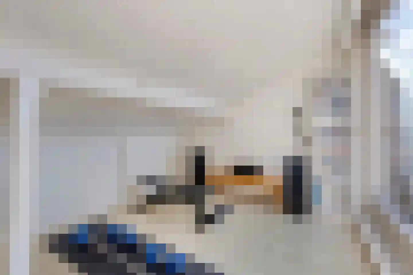 Reuverlaan 119 Tilburg thumbnail 29