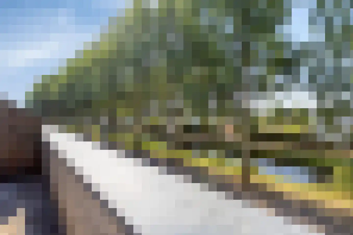 Reuverlaan 119 Tilburg thumbnail 32