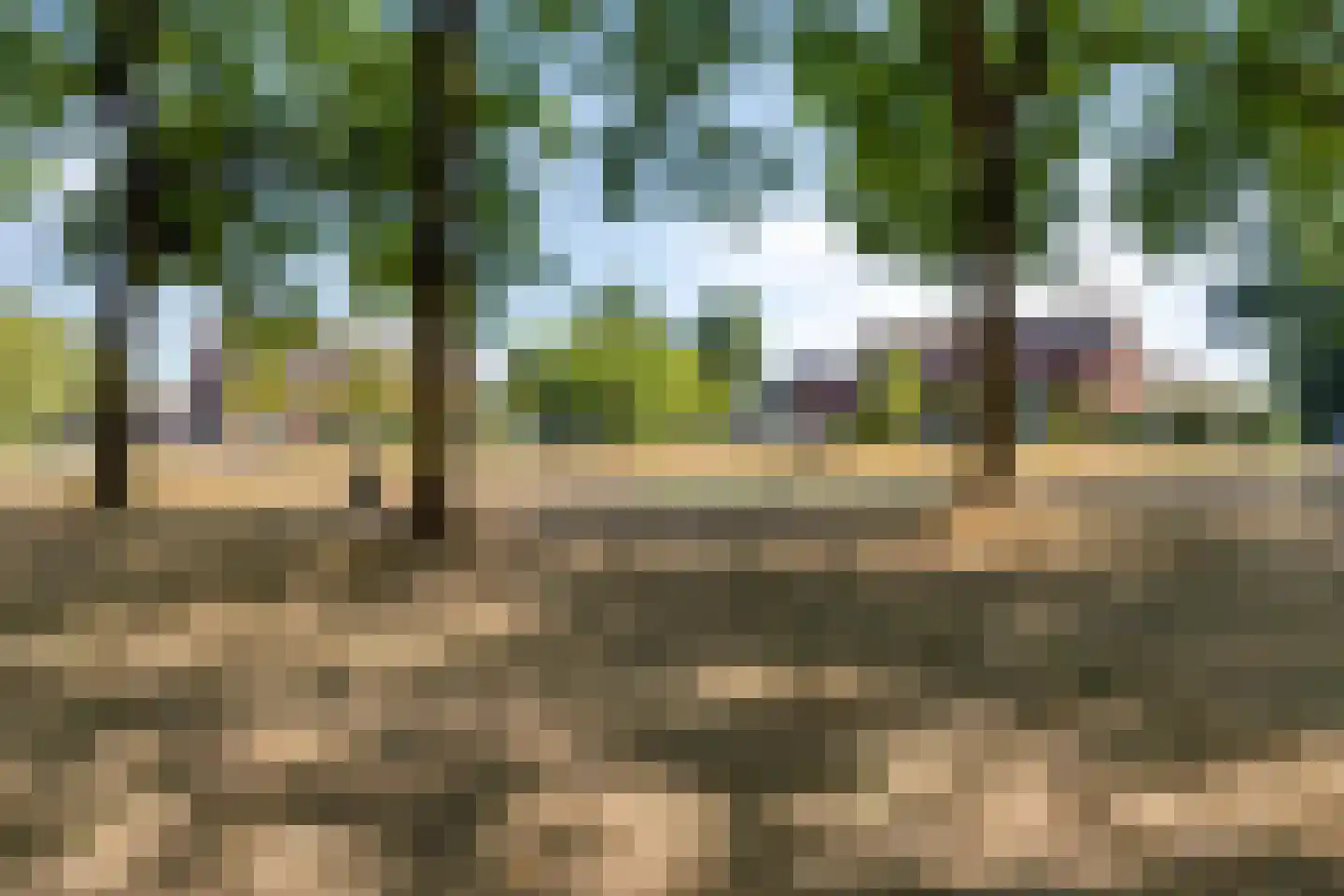Reuverlaan 119 Tilburg thumbnail 39