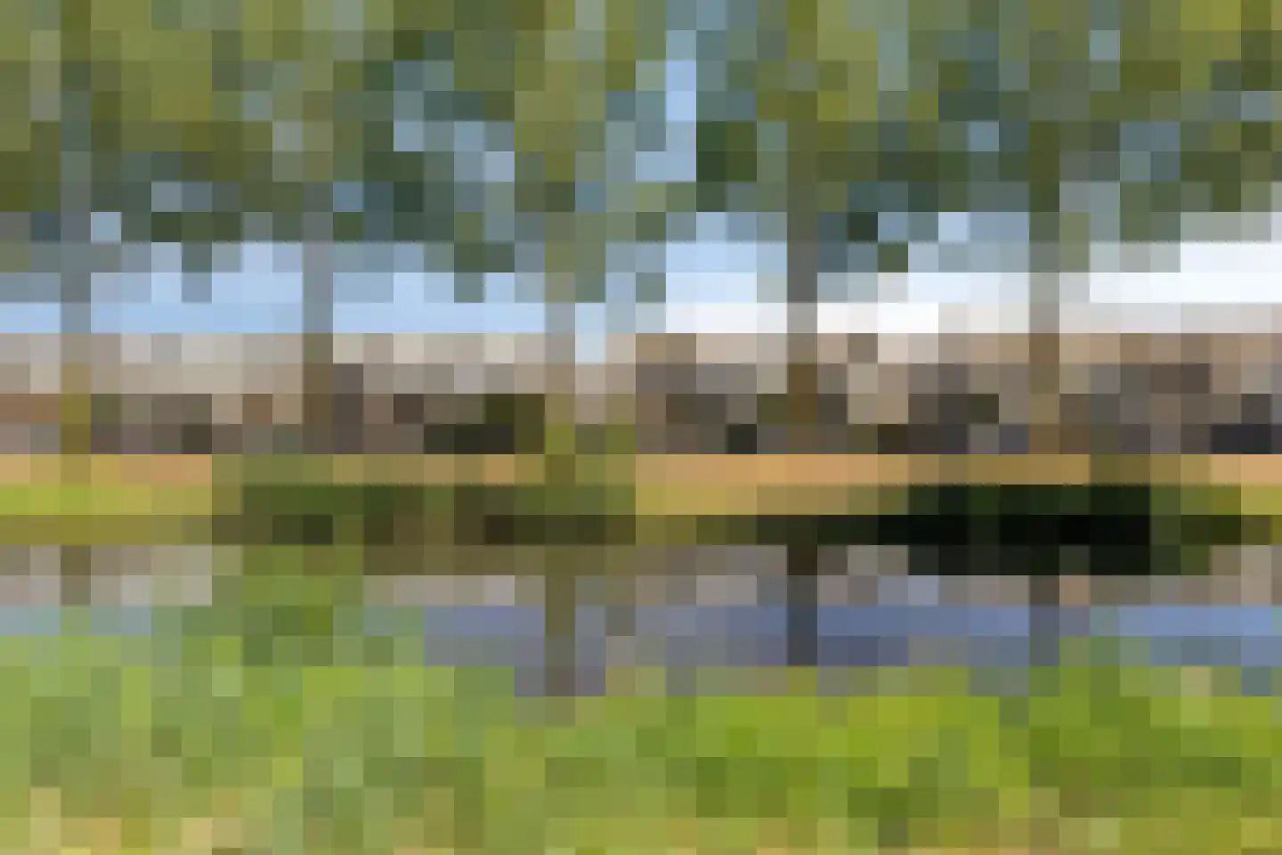 Reuverlaan 119 Tilburg thumbnail 5