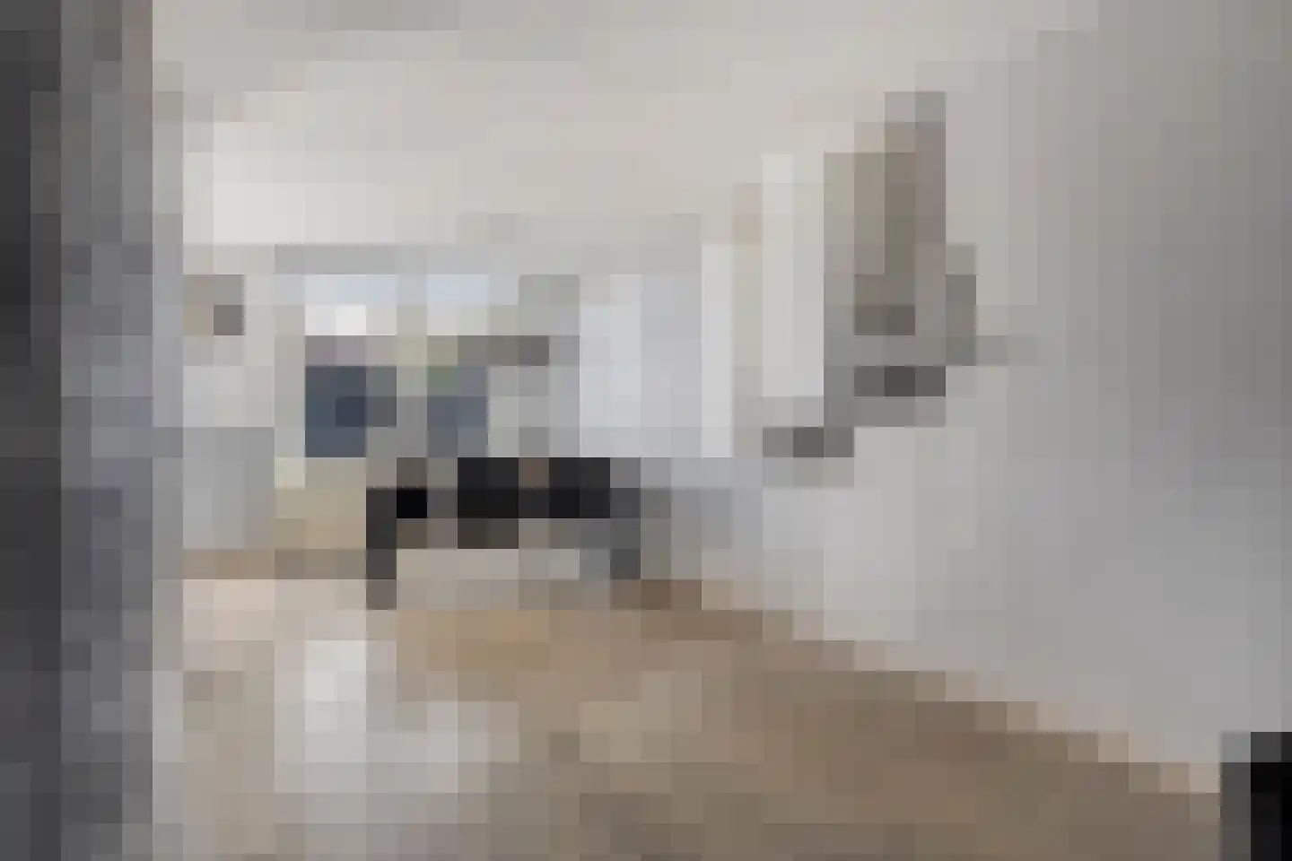 Reuverlaan 5 Tilburg thumbnail 14