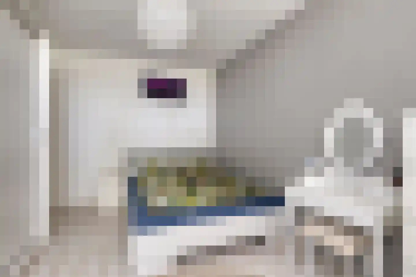 Reuverlaan 5 Tilburg thumbnail 20