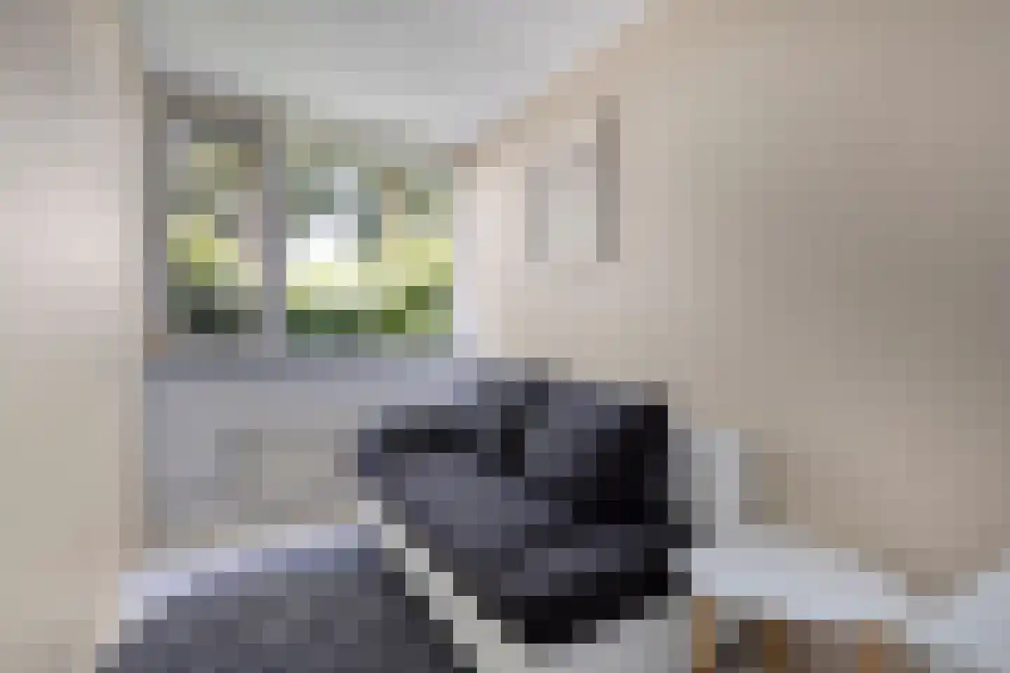 Reuverlaan 5 Tilburg thumbnail 24
