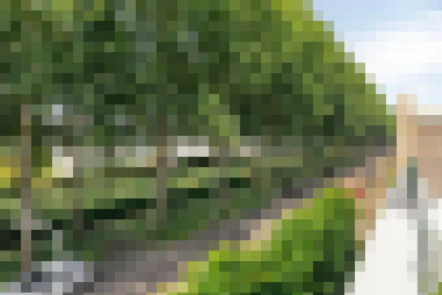Reuverlaan 5 Tilburg thumbnail 33
