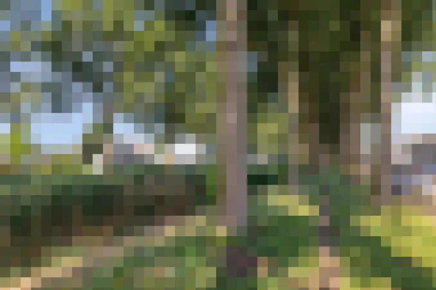 Reuverlaan 5 Tilburg thumbnail 41