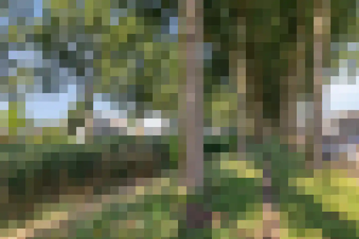 Reuverlaan 5 Tilburg thumbnail 41