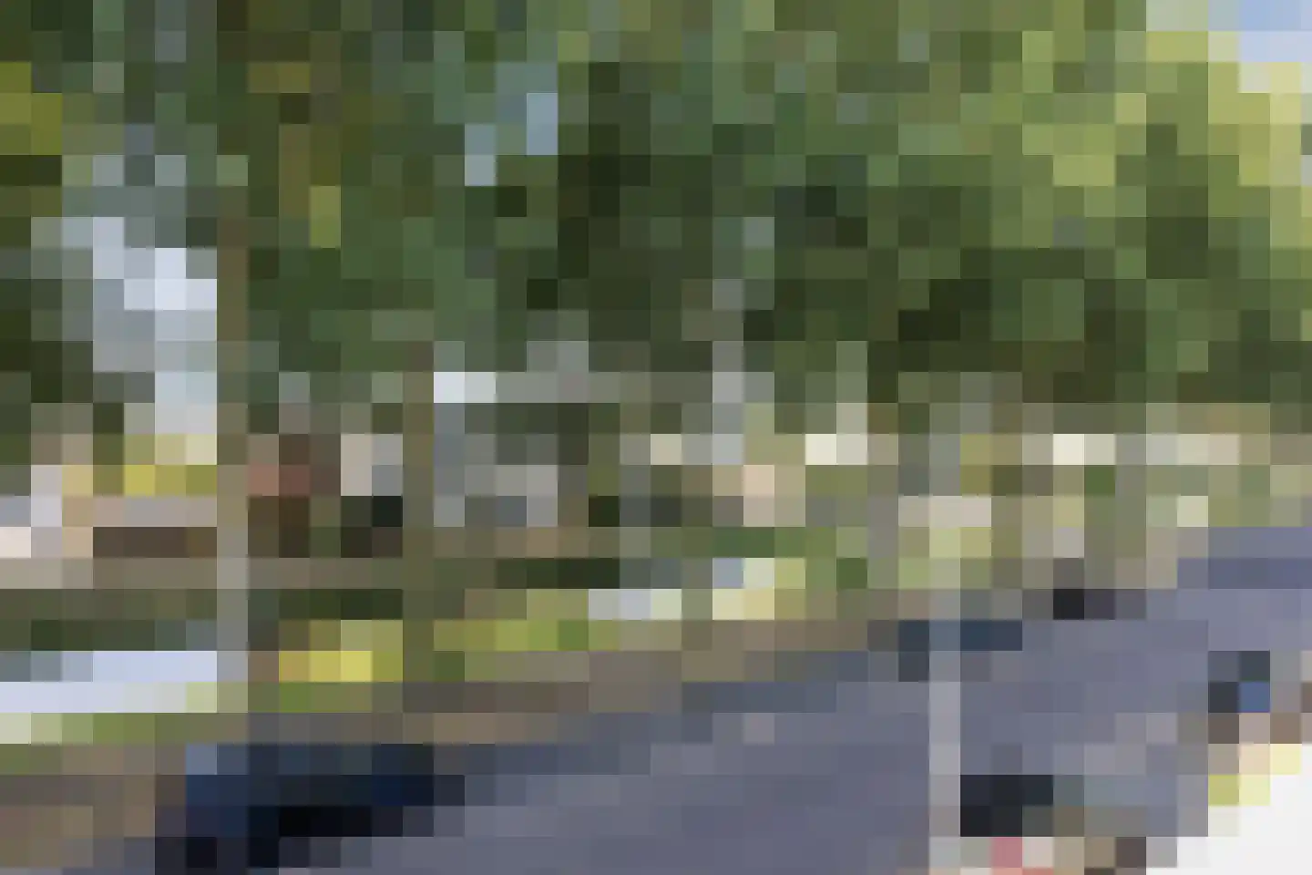 Reuverlaan 79 Tilburg thumbnail 29