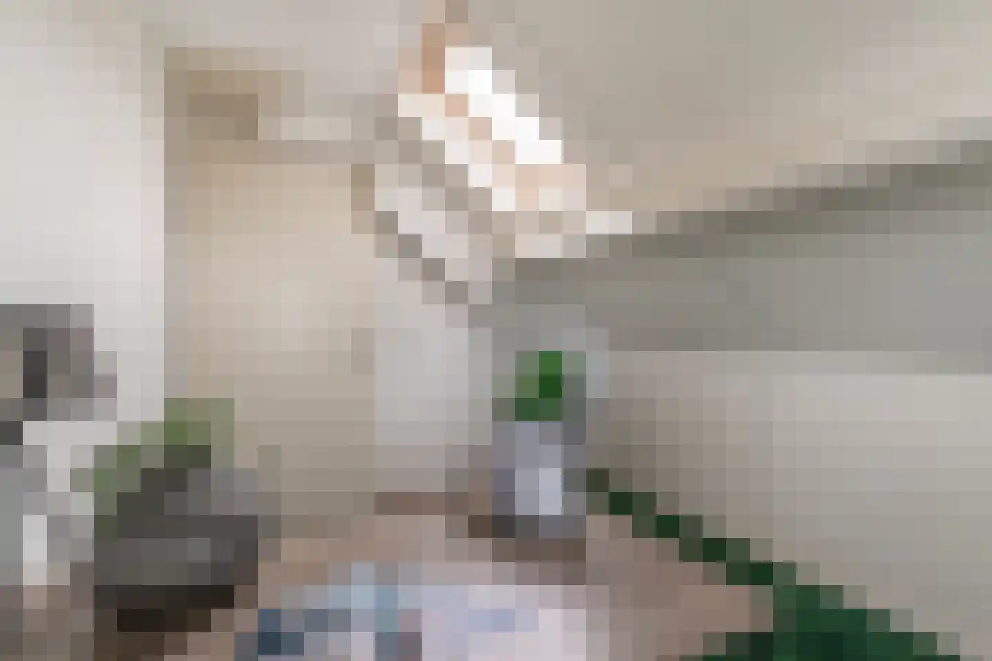 Reuweg 1 A Loenen thumbnail 39