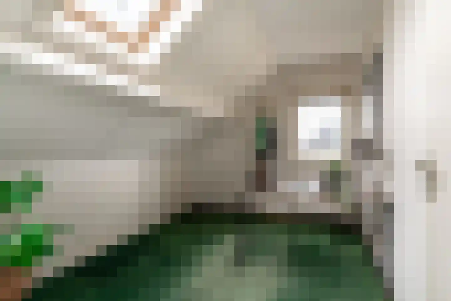 Reuweg 1 A Loenen thumbnail 40
