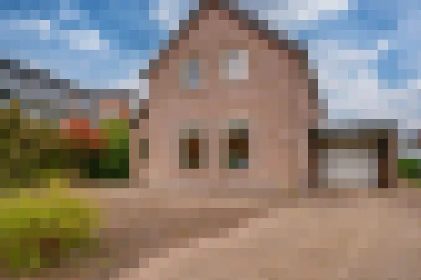 Reuweg 1 A Loenen thumbnail 8