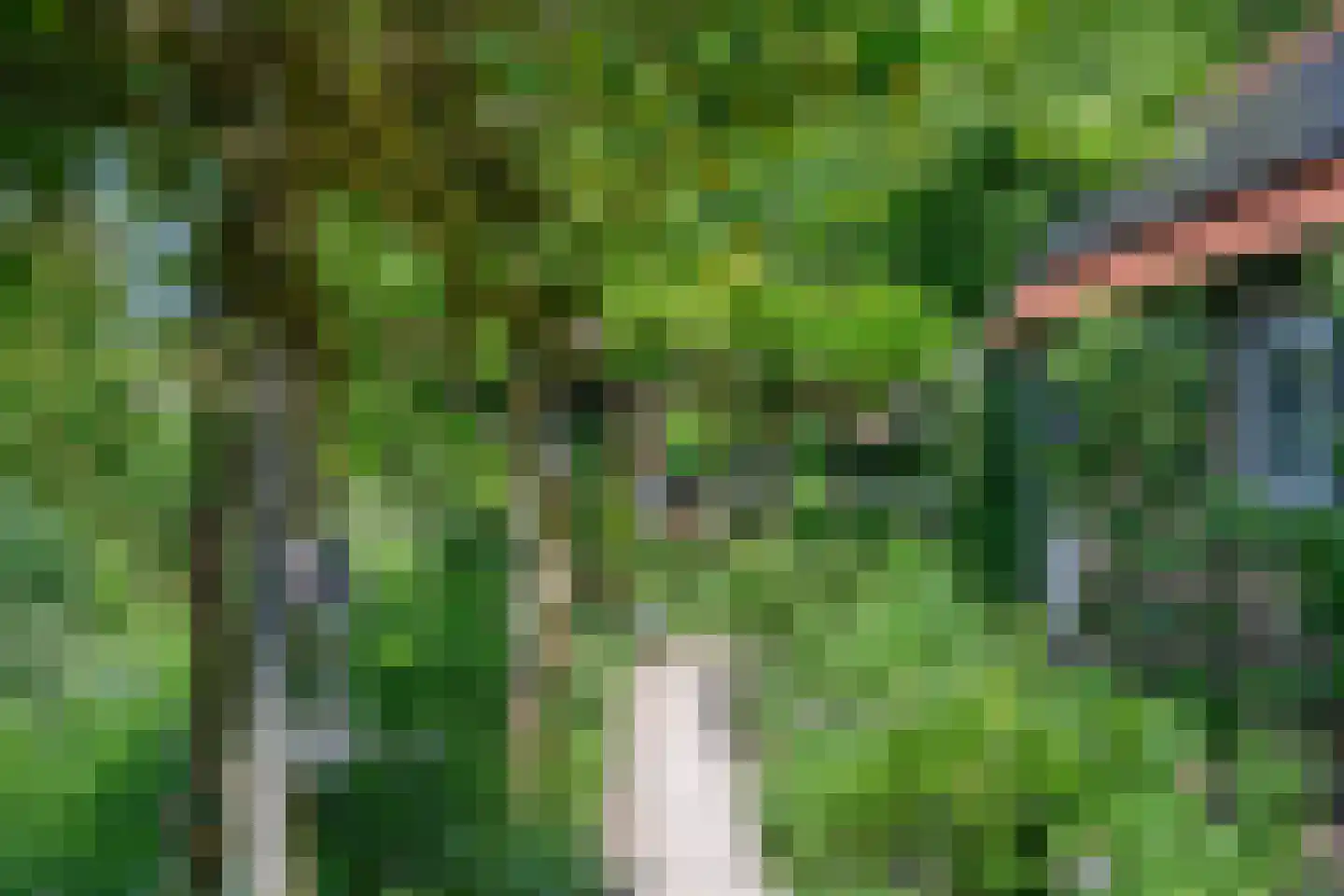Reuweg 33 Loenen thumbnail 32