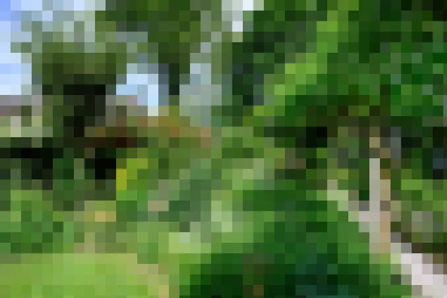 Reuweg 33 Loenen thumbnail 33