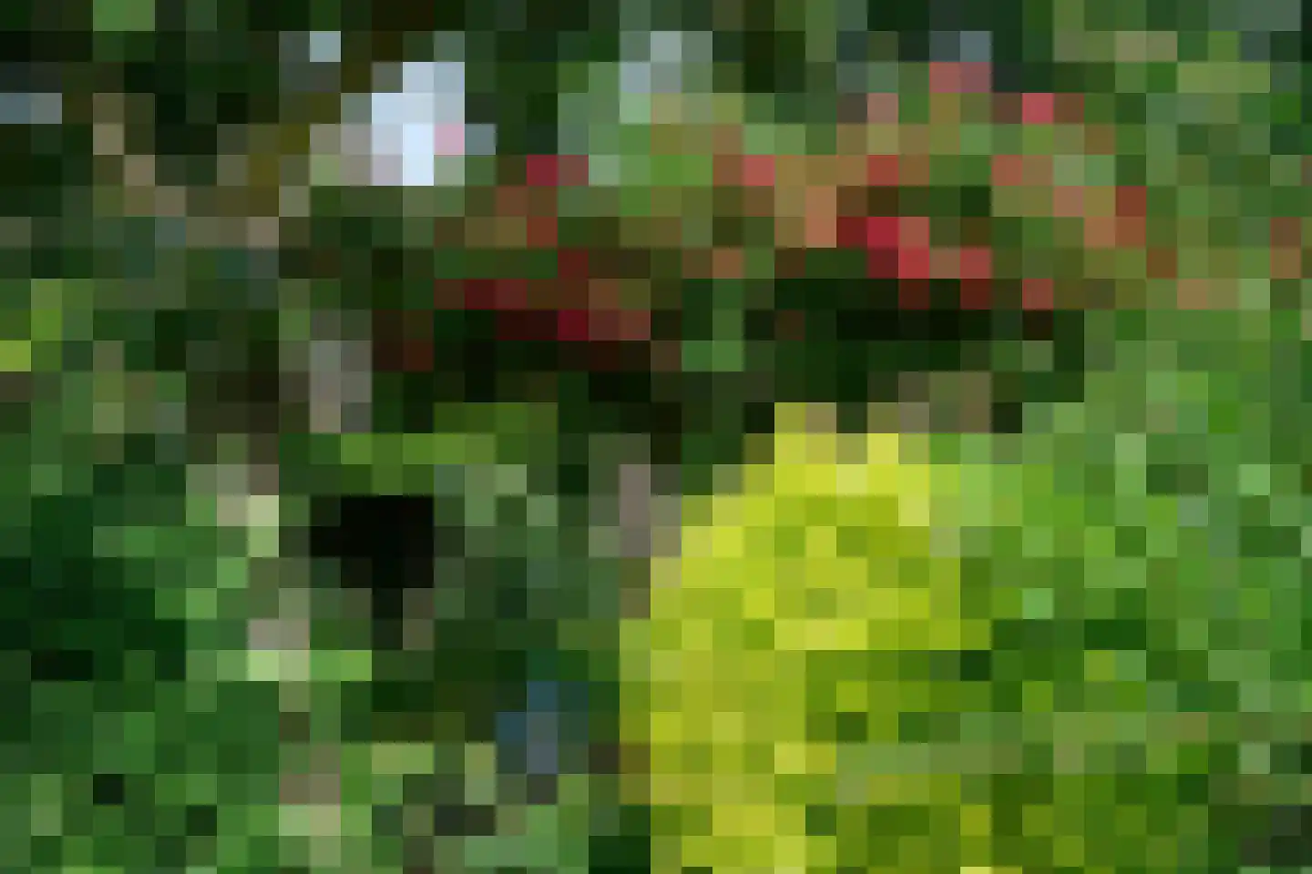 Reuweg 33 Loenen thumbnail 34