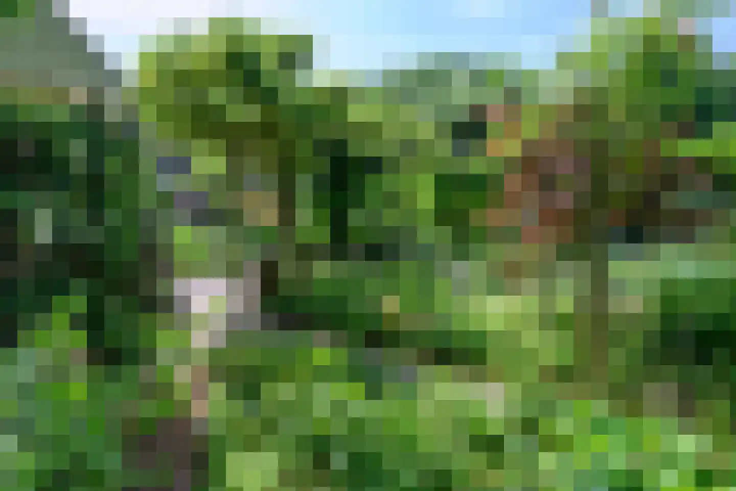 Reuweg 33 Loenen thumbnail 35