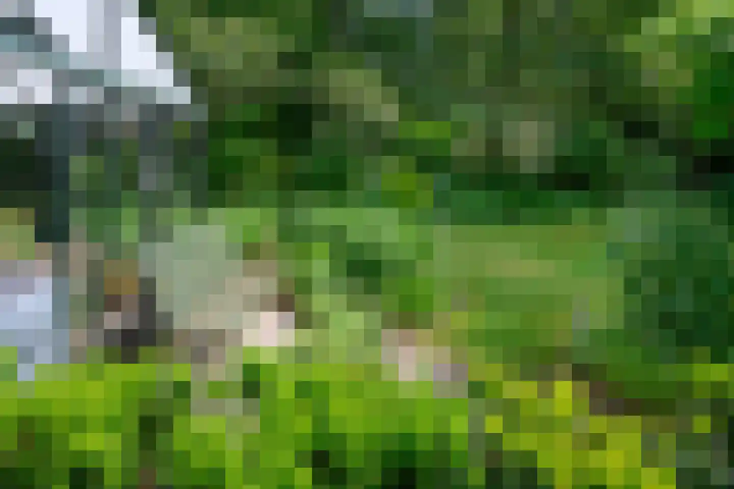 Reuweg 33 Loenen thumbnail 36