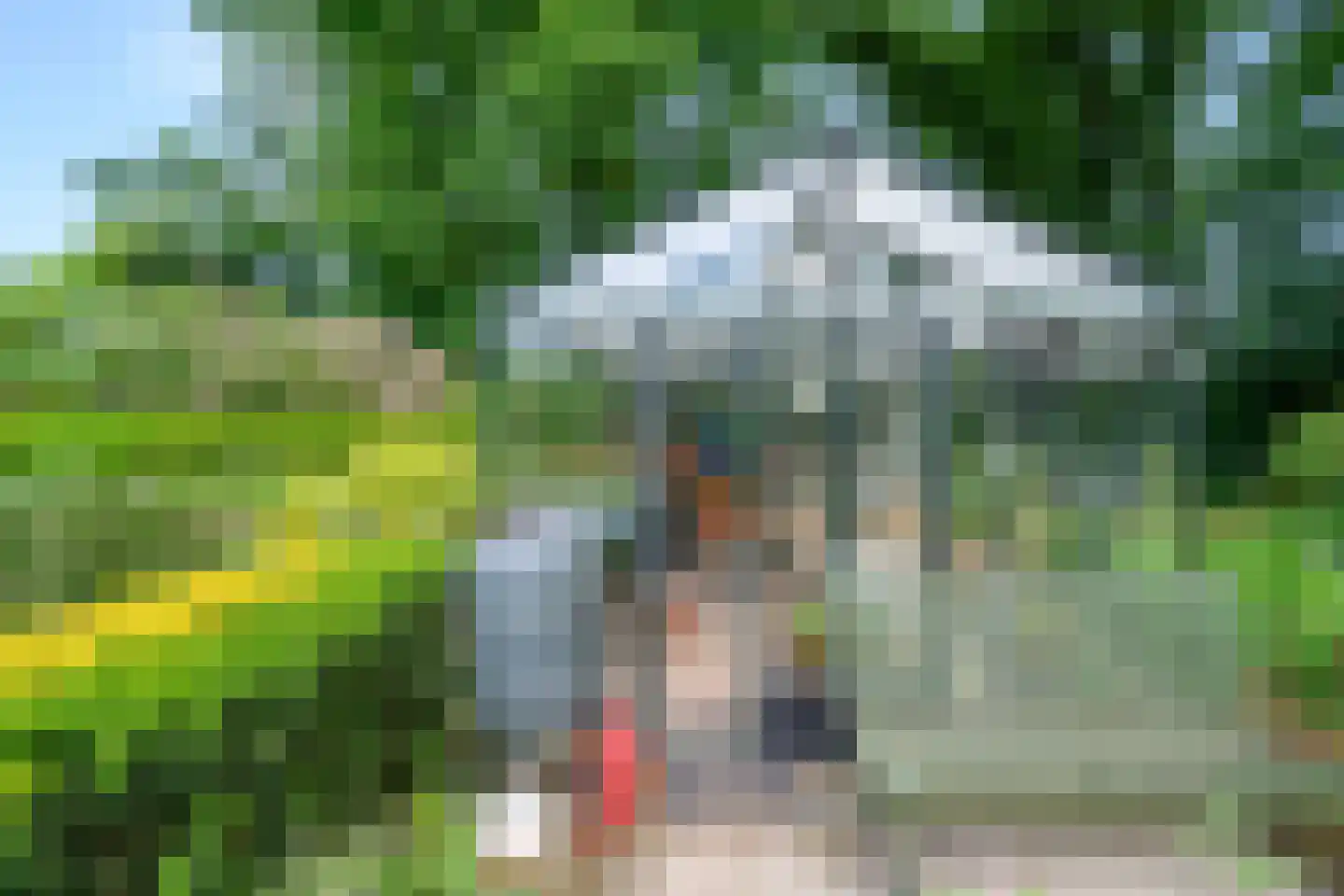 Reuweg 33 Loenen thumbnail 38