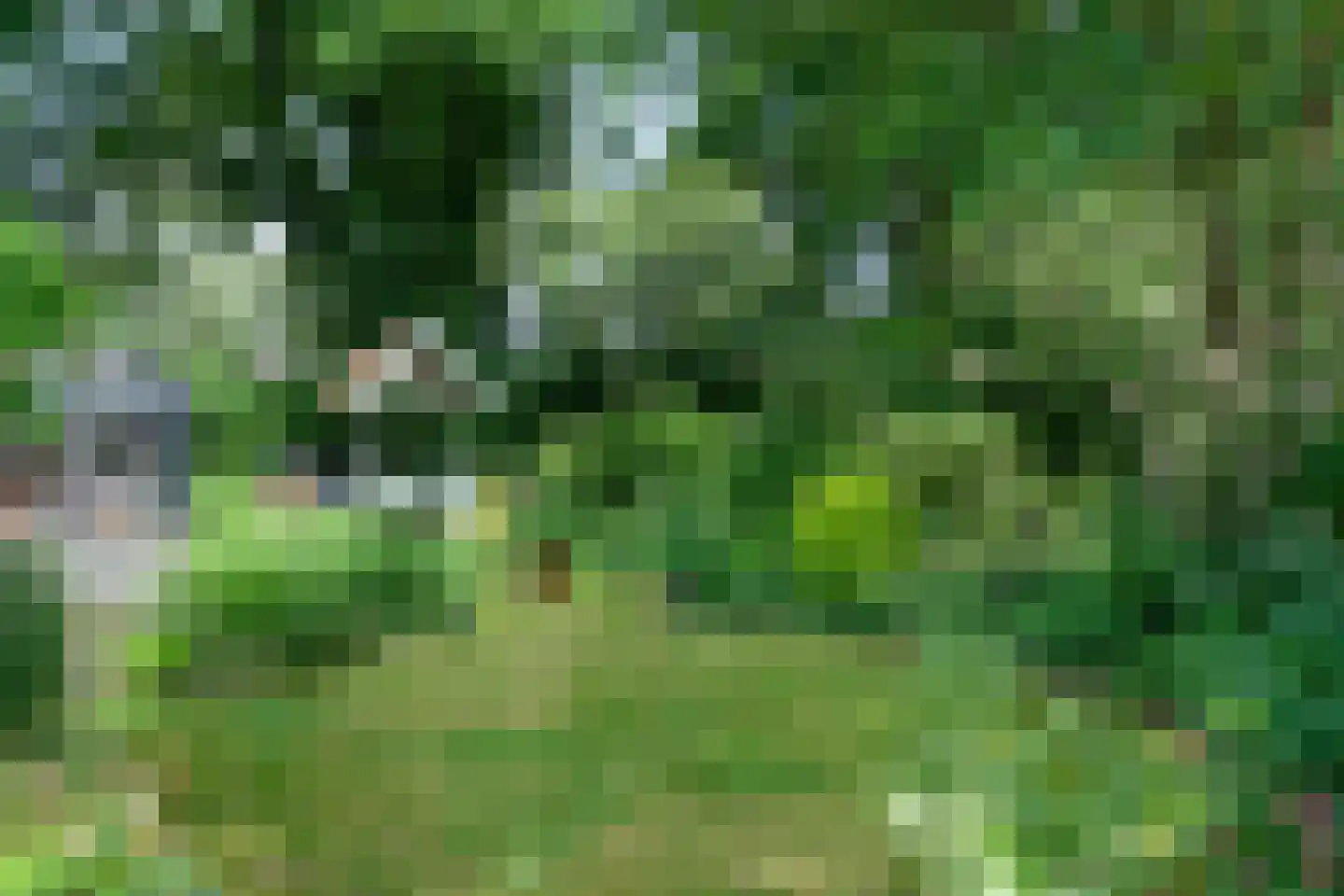 Reuweg 33 Loenen thumbnail 4