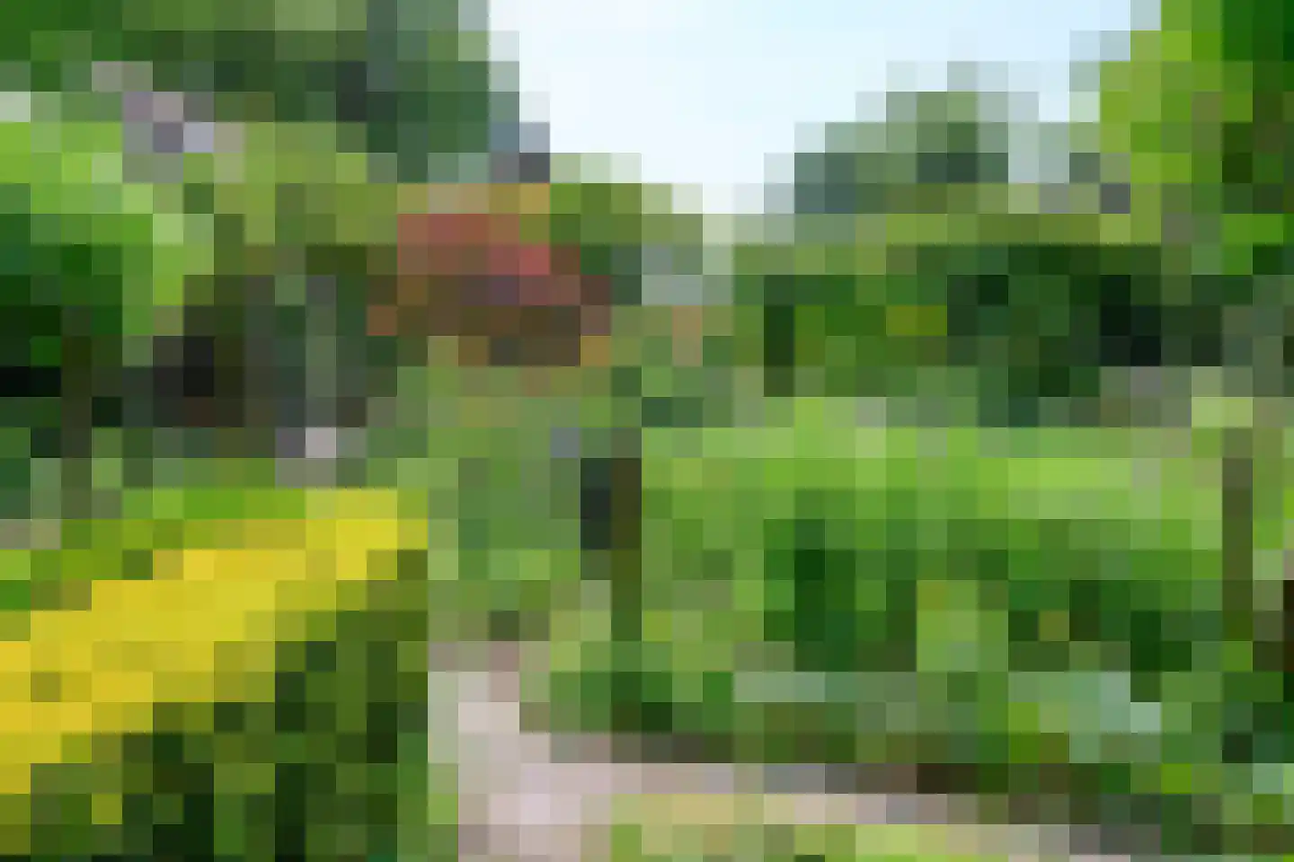 Reuweg 33 Loenen thumbnail 43